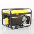 Bison China 3000W Generator Motor Erdgas -Benzinerer Luft gekühlt 220 V 3 kW Benzingenerator